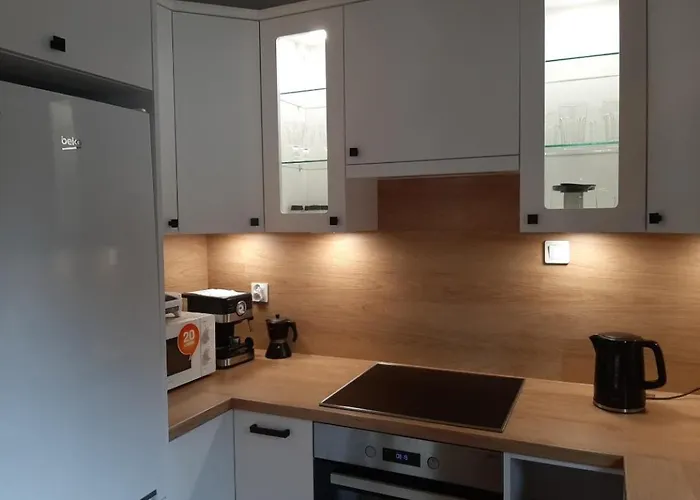 度假居 Dom W Rudawie *