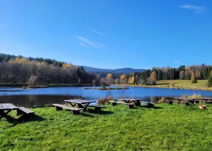 度假居 Dom W Rudawie *